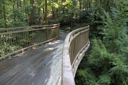 A curving wooden walkway with railings winding through a green wooded ravine at Garvan Woodland Gardens