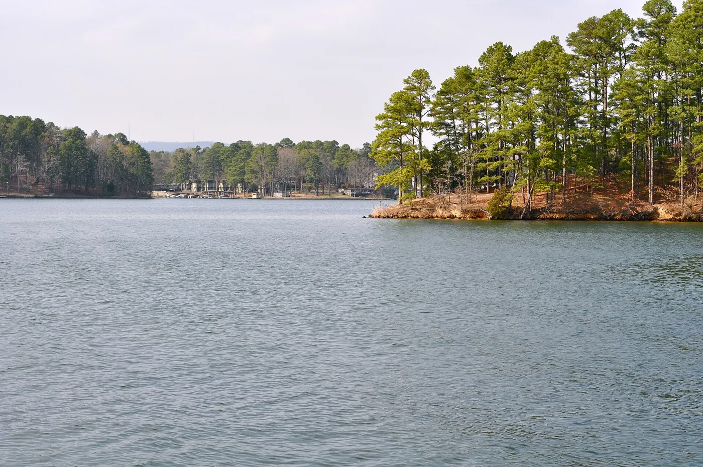 A wide grey lake with a point of tall pine trees on the right and a wooded far shore